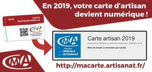 Carte professionnelle 2019