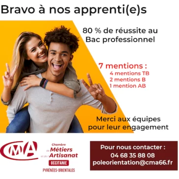 Réussite au Bac professionnel 2023