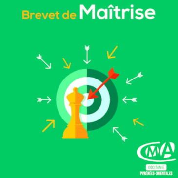 Brevet de Maîtrise