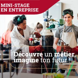 mini-stages en entreprise