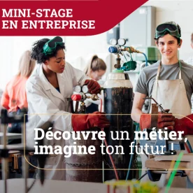 mini-stages en entreprise
